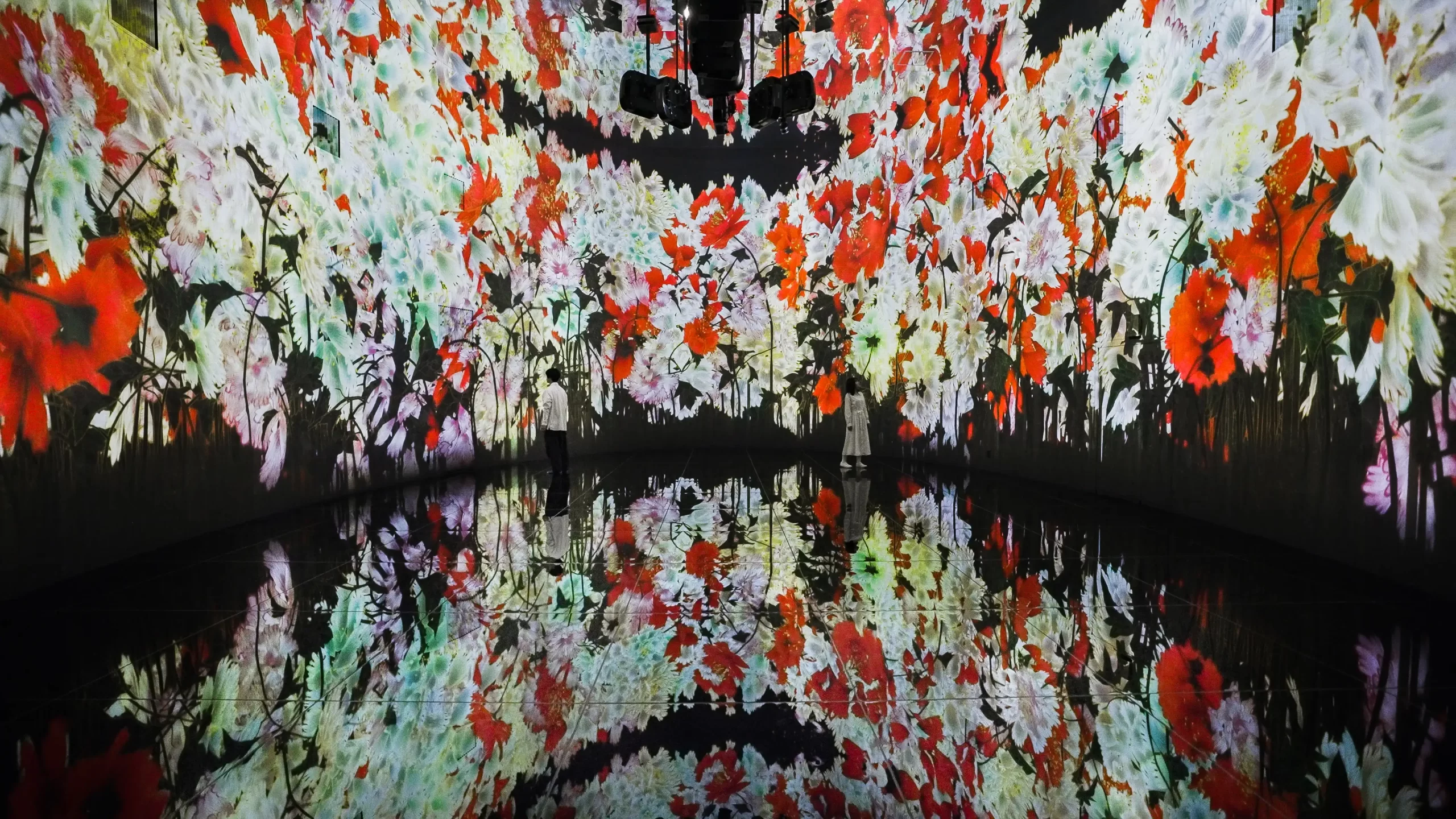 チームラボ「教会跡に増殖する無量の生命- A Whole Year per Year」1