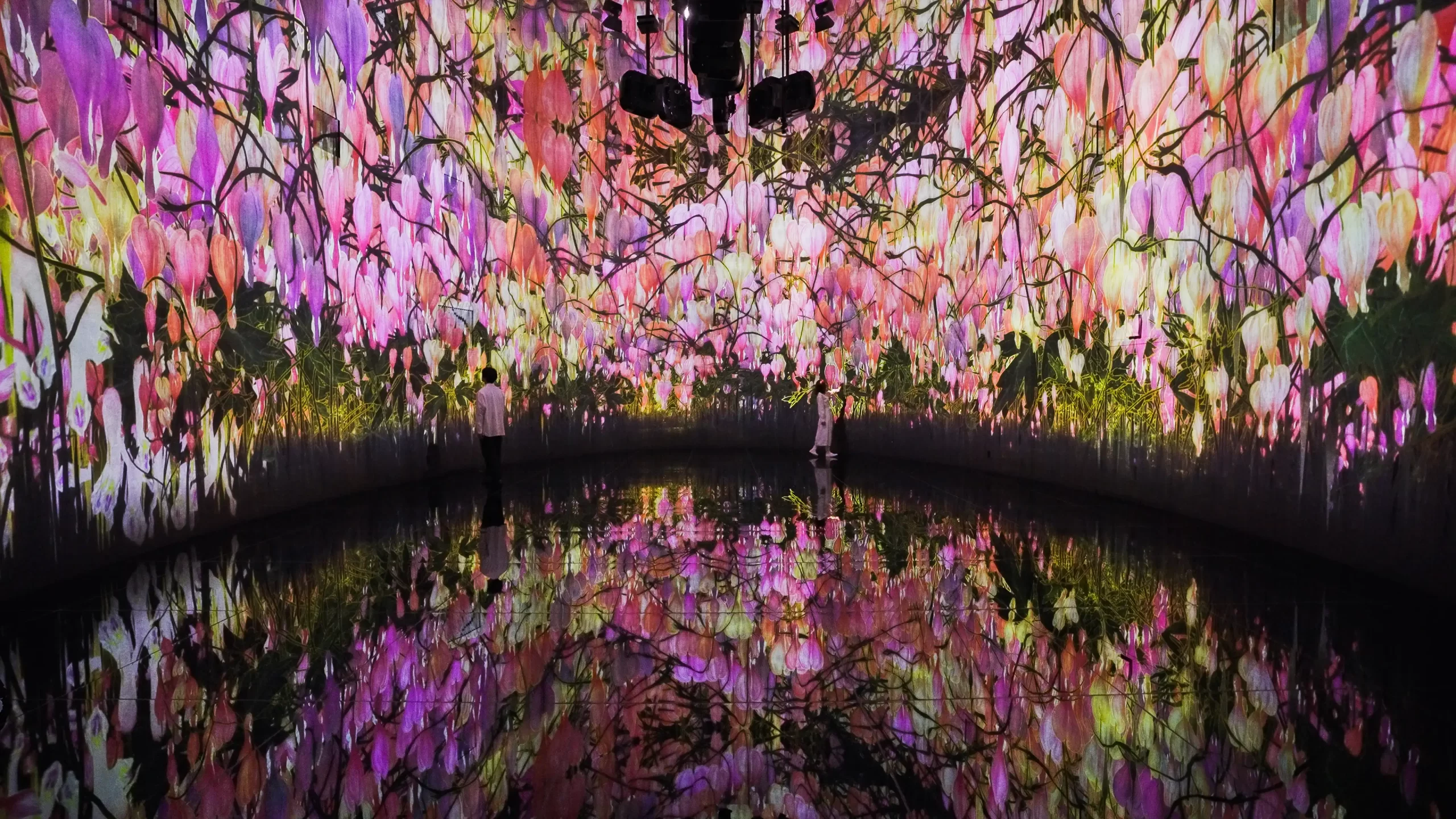 チームラボ「教会跡に増殖する無量の生命- A Whole Year per Year」2