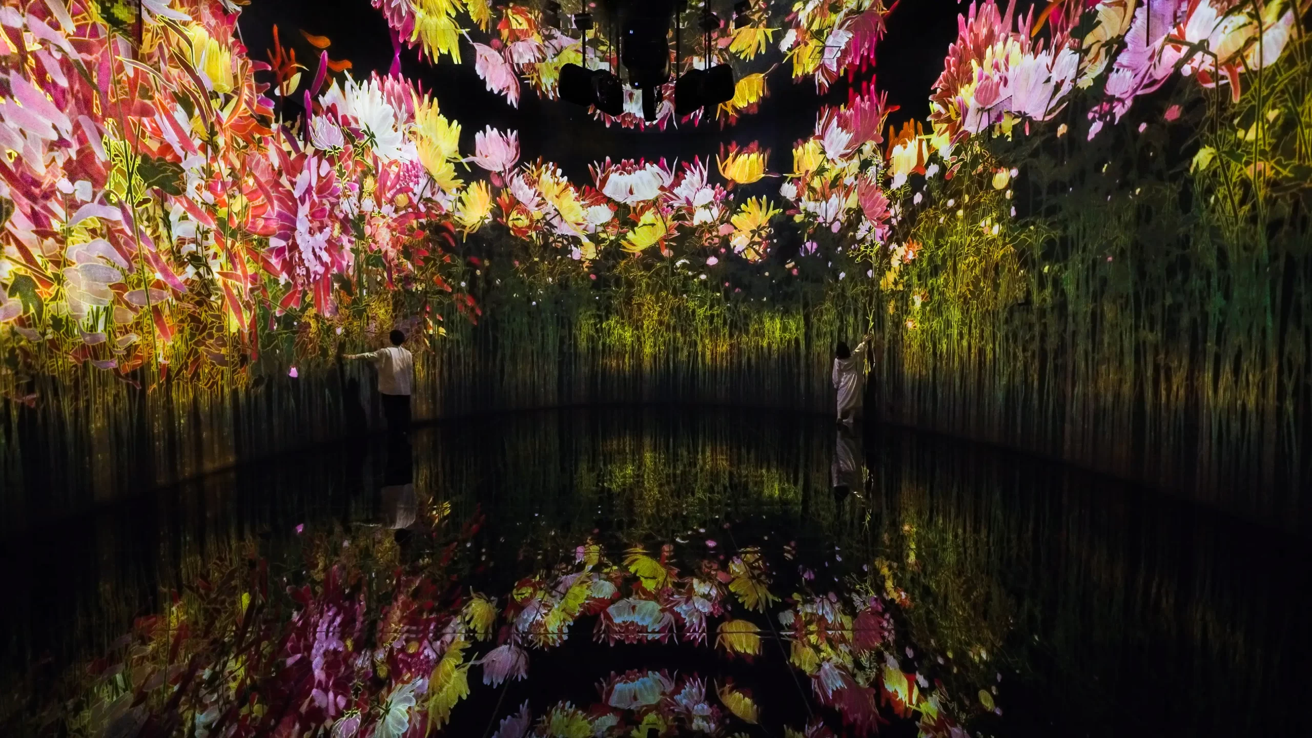 チームラボ「教会跡に増殖する無量の生命- A Whole Year per Year」3