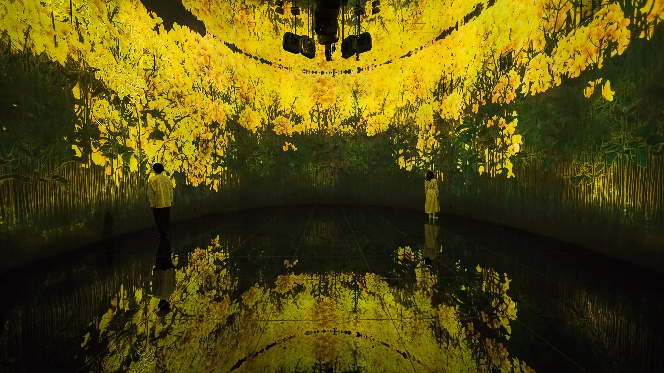 チームラボ「教会跡に増殖する無量の生命- A Whole Year per Year」5