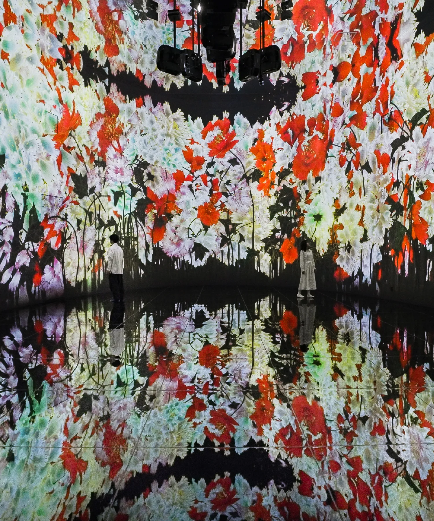 チームラボ「教会跡に増殖する無量の生命- A Whole Year per Year」1