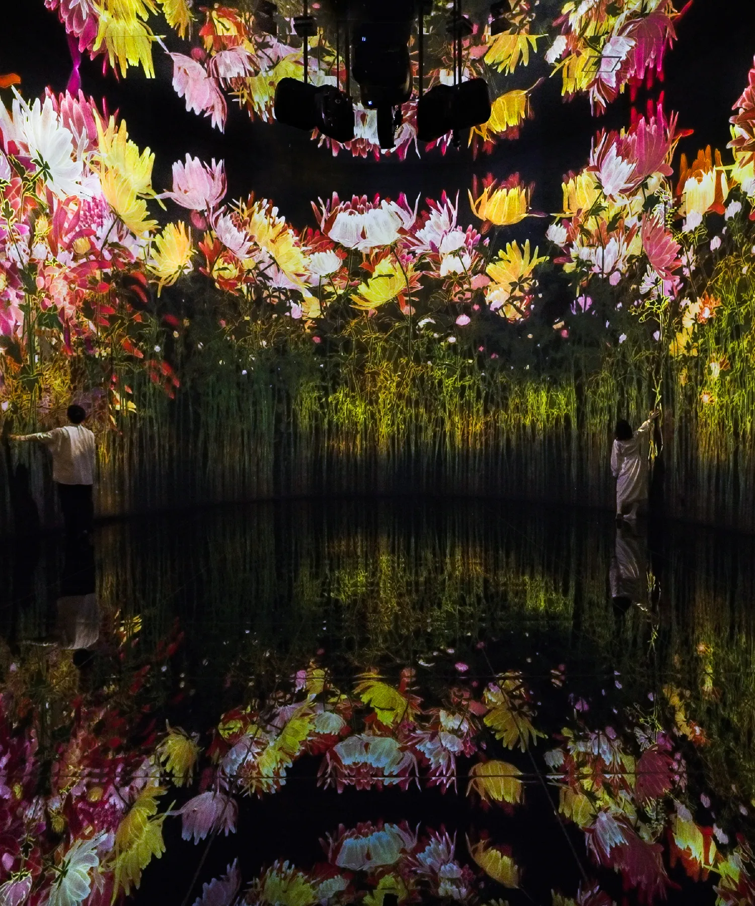 チームラボ「教会跡に増殖する無量の生命- A Whole Year per Year」3