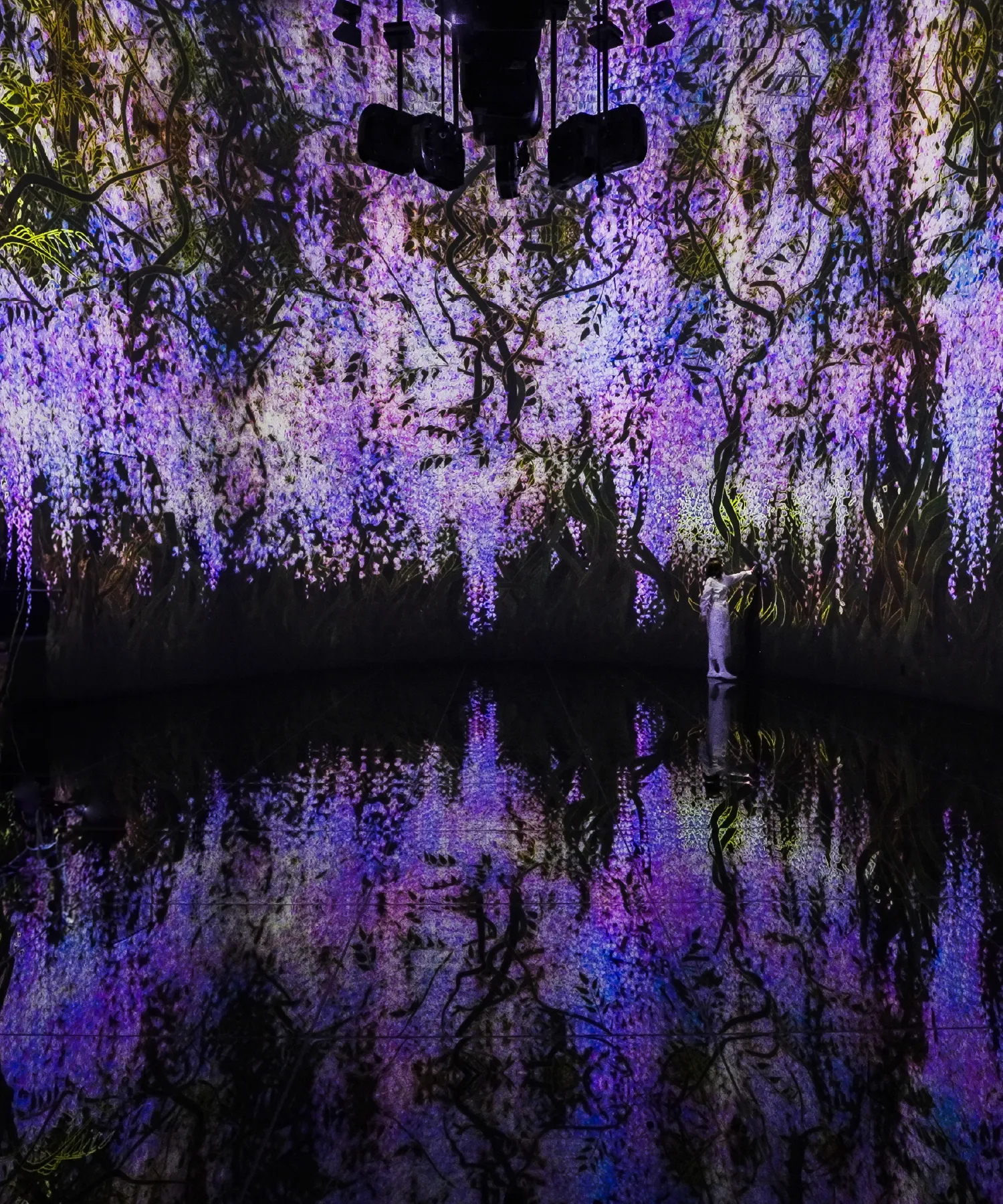 チームラボ「教会跡に増殖する無量の生命- A Whole Year per Year」4