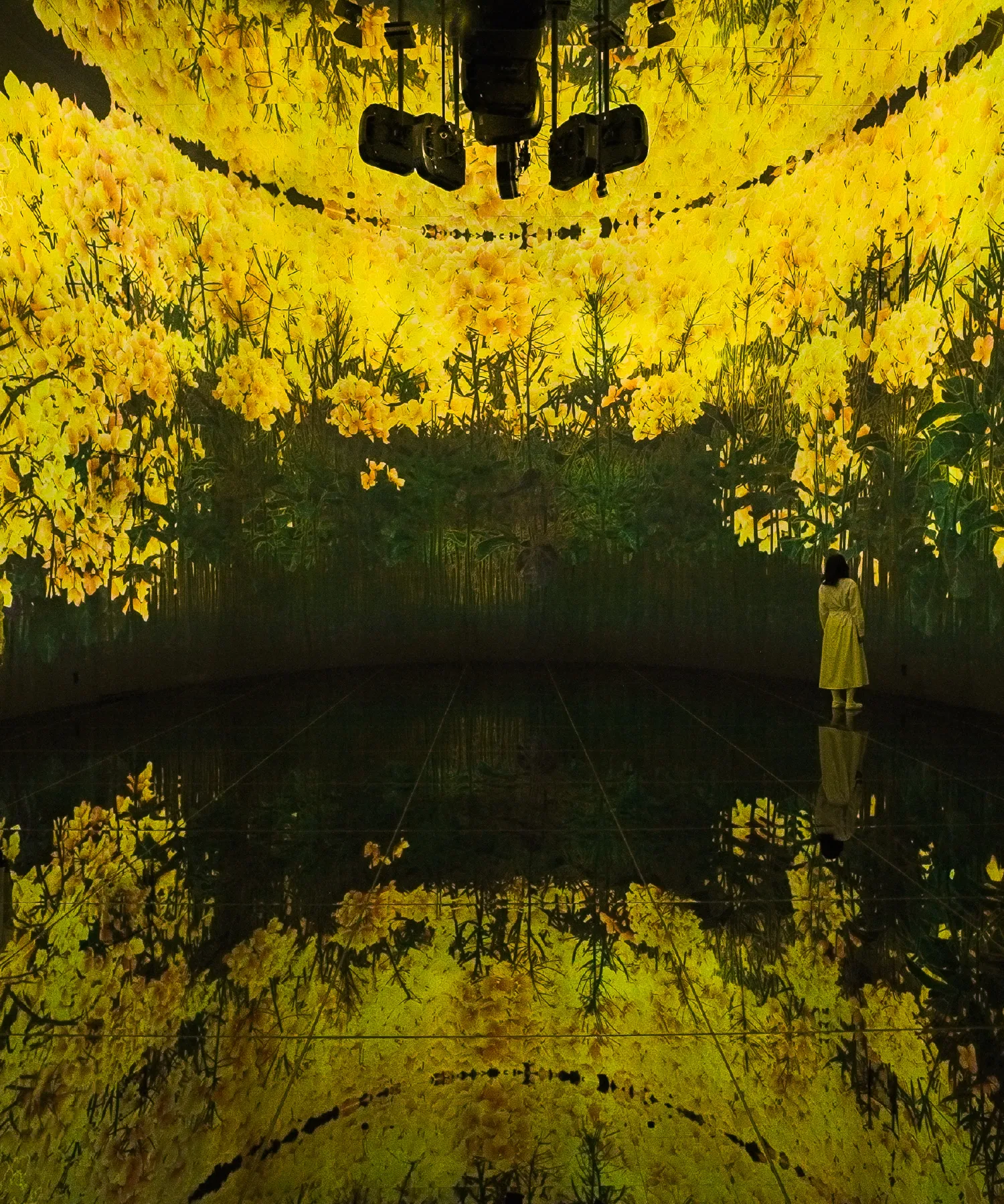 チームラボ「教会跡に増殖する無量の生命- A Whole Year per Year」5